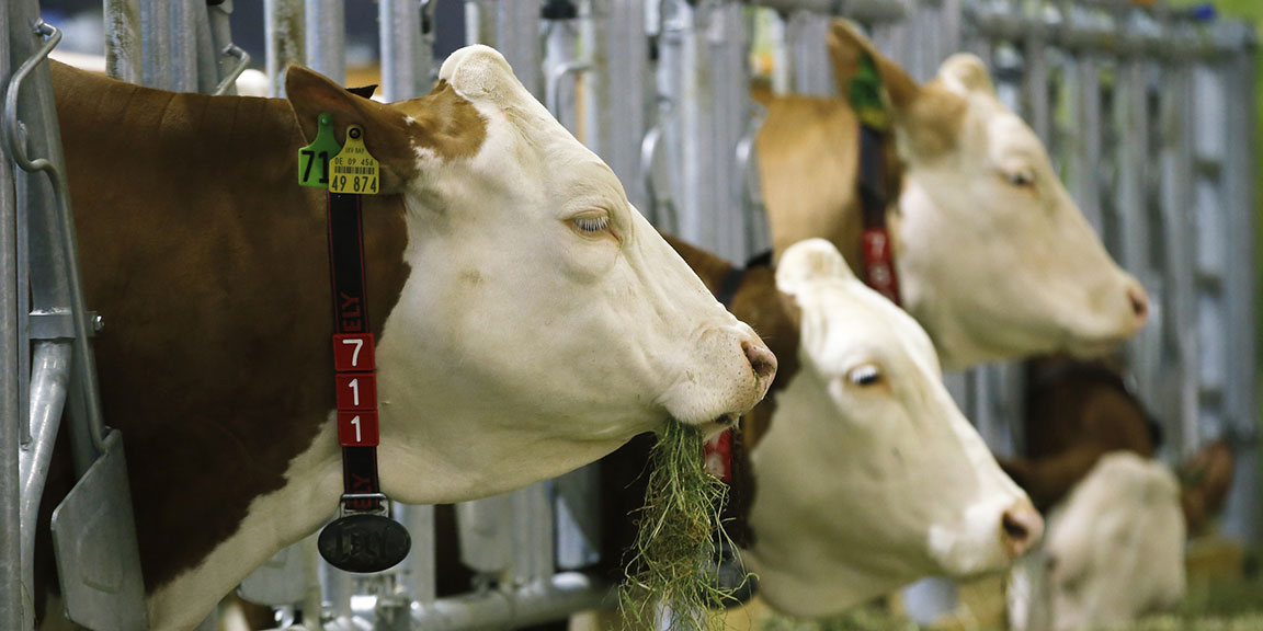 Schützen Sie Ihren Hof - Das sind die häufigsten Brandursachen in der Landwirtschaft